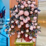 Cây Đào Thạch Anh Hồng 88 Quả Cao 128cm