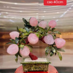 Cây Đào Thạch Anh Hồng 9 Quả Cao 40cm